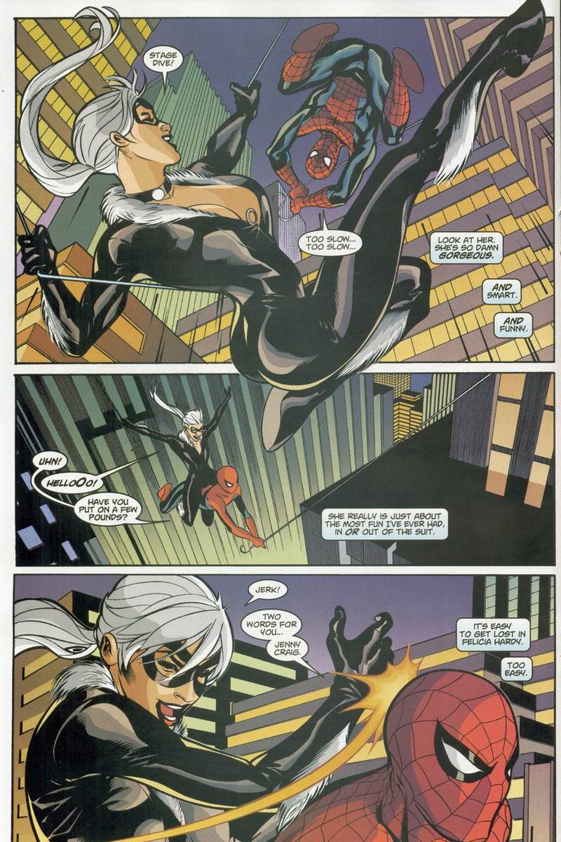 Spider-Man / Black Cat : L'enfer de la violence