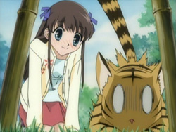 Fruits Basket