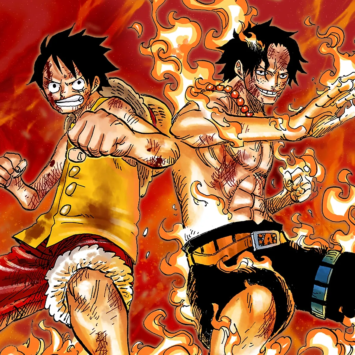 Luffy et Ace