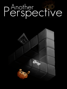 Another Perspective