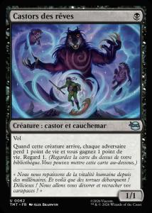 Castors des rêves