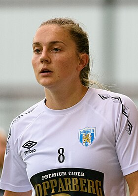 Bøe Risa