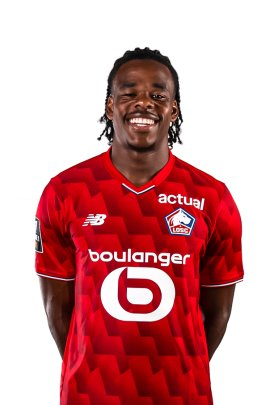 Ngoy